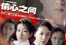 2005电视剧,2005年电视剧经典回顾