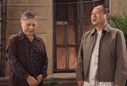 喜剧电视剧,喜剧电视剧的欢乐盛宴