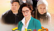 远方的家电视剧,跨越时空的亲情之旅