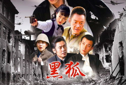 黑狐电视剧,谍影重重，暗战风云