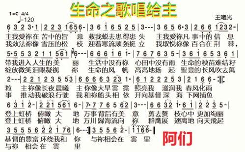 生命之歌电视剧,谱写人生辉煌的旋律