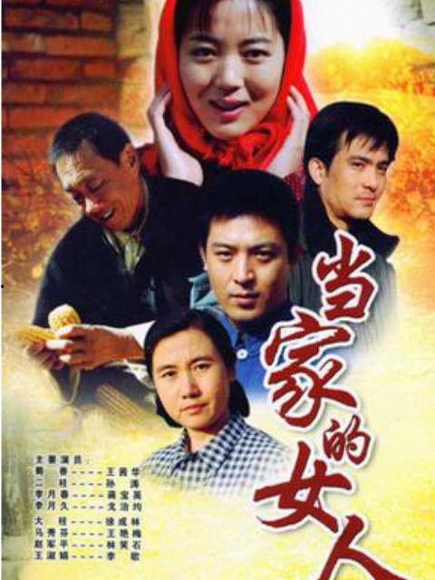 女人当家电视剧全集
